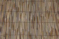 Bamboo Fence 8