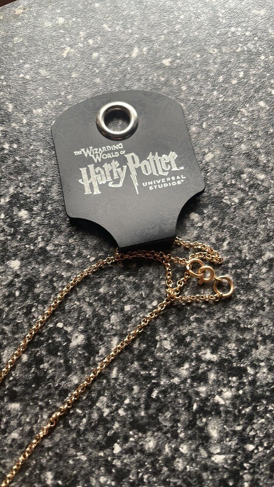 Universal Studios Harry Potter Necklace