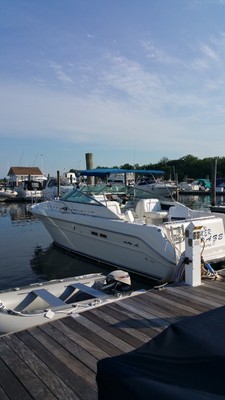 1995 Sea Ray 300 Weekender