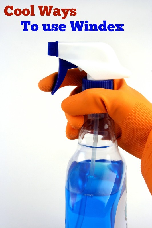 Cool ways to use Windex eBay
