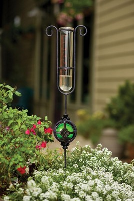 Garden Delights Metal and Glass Rain Gauge ...