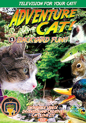 Adventure Cat DVD - Television for CATS!