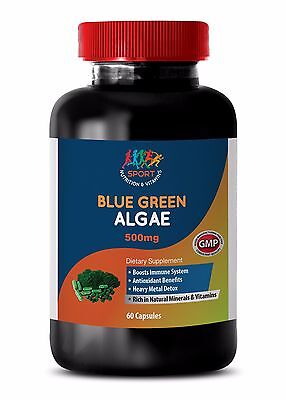 best antioxidant - ORGANIC BLUE GREEN ALGAE 500MG 1B - spirulina pacifica