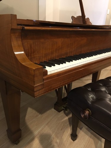 Gorgeous Steinway & Sons Model B  Excellent Condition Stage Ready