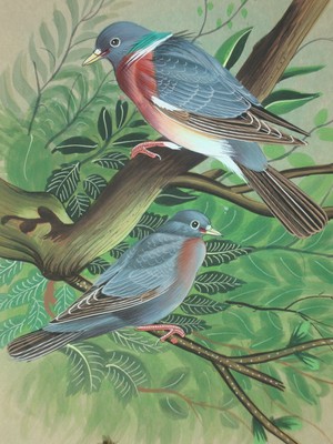 Bird painting tree forest miniacher Painting art natural paper gift Decor USA