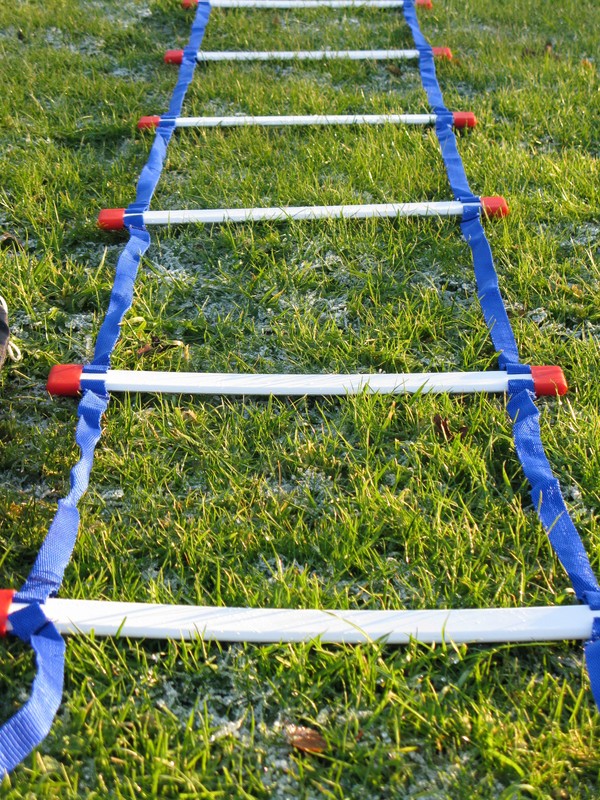 PEED LADDER & Carry Bag [FLAT RUNG] F