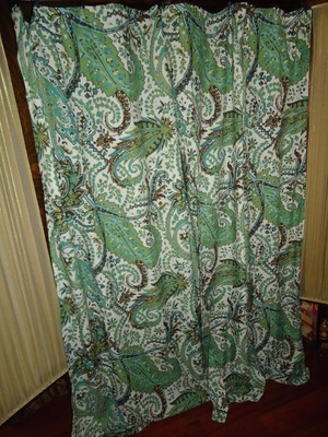 Green Curtains brown cream and green curtains : THRESHOLD BLUE GREEN BROWN CREAM PAISLEY FABRIC SHOWER CURTAIN 72 ...