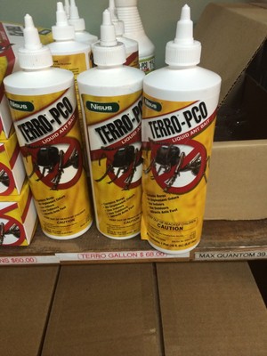 Terro-PCO Liquid Ant Bait 16 oz Pest ...