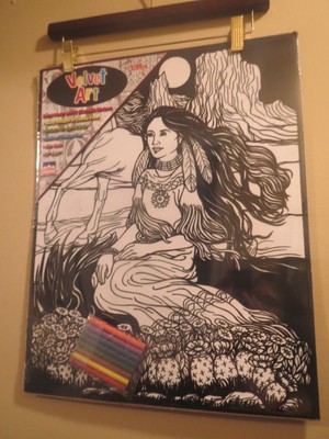 UPC 057668010681 product image for Pocahontas- Large 16x20 Inch Fuzzy Velvet Art Coloring Poster | upcitemdb.com