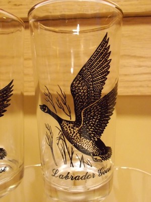 5 Labrador Goose bird Collins Old Fashioned drink glass bar pub silver rim 8 oz