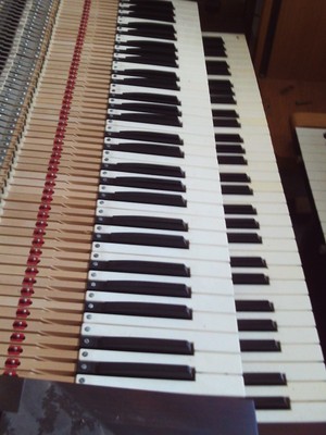 Rodgers 750 Organ Manual