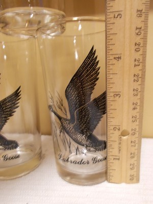 5 Labrador Goose bird Collins Old Fashioned drink glass bar pub silver rim 8 oz