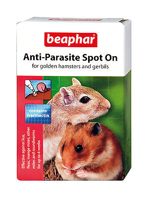 Beaphar Anti-Parasite Spot On For Hamster and ...