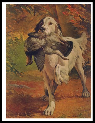 ENGLISH SETTER DOG CARRYING BIRD LOVELY VINTAGE ...