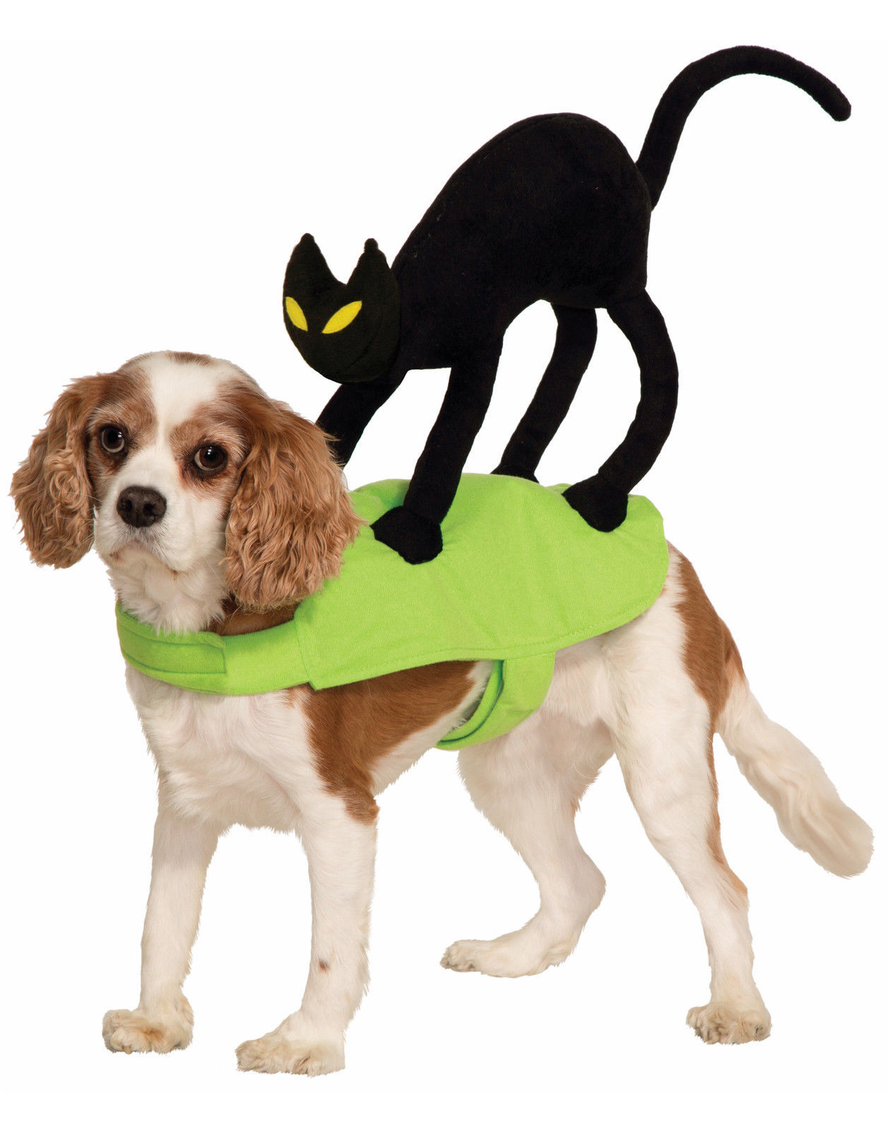 The Cutest Cat And Dog Halloween Costumes eBay