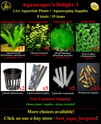 Live Aquarium Plants + Supplies - Amazon ...