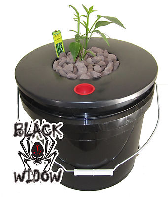 5 Gallon Deep Water Culture (DWC) Black ...