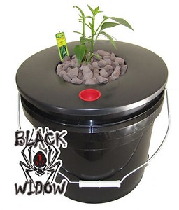 ... Gardening Supplies &gt; Hydroponics &amp; Seed Starting &gt; Hydroponic Systems