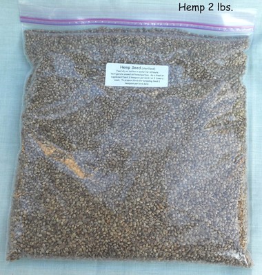 Hemp Seed canary finch bird seed treat ...