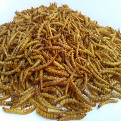 Mealworms Dried,  Koi & Pond Fish, ...