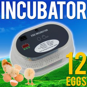 New Automatic Egg Chicken Incubator w Digital Thermometer Auto Egg 