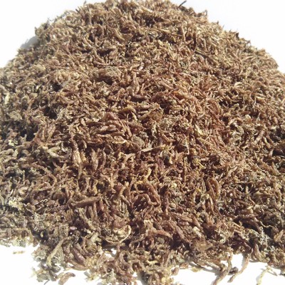 BLOODWORMS--Freeze Dried SAVE $$$ on our BULK ...