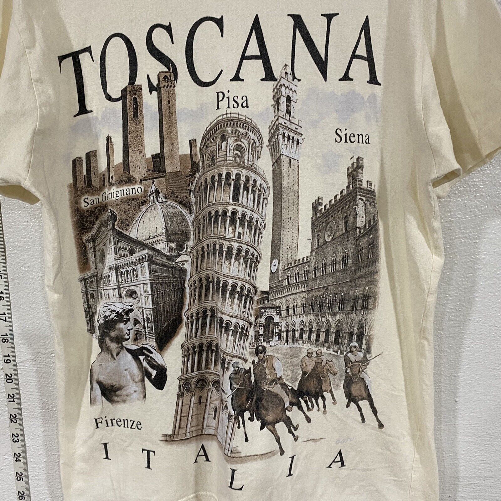 Toscana Italia Vintage T Shirt Mens Medium Italy Pisa Siena Firenze