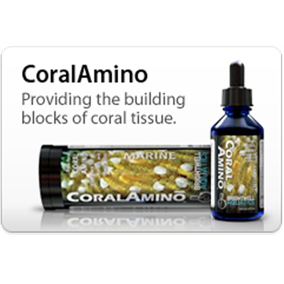 Coral Amino Acid Brightwell Supplement 30 ml Reef Nutrition FREE USA SHIPPING
