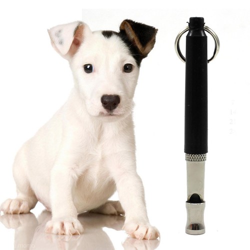 Pet Dog Puppy Training Obedience Whistle Ultrasonic ...