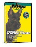 SCOTTISH TERRIER DVD *NEW* Dog Training Pet ...