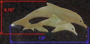 dolphins pearl 1 dolphins pearl 1
