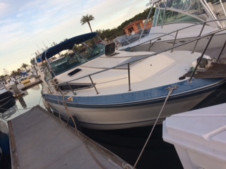 SeaRay 268 Sundancer-Retrofit Merc 496 HO and Bravo 3