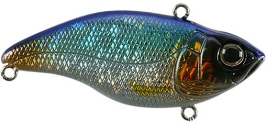 Color:Blue Shiner:Spro Aruku Shad 75 Bass, Walleye, Trout Fishing Lure Bait