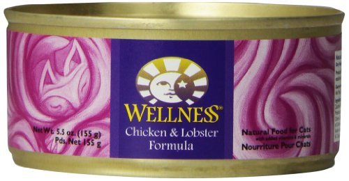 Wellness Complete Health Natural Grain Free Wet Canned Cat Food