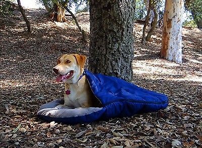 Dog Camping Gear