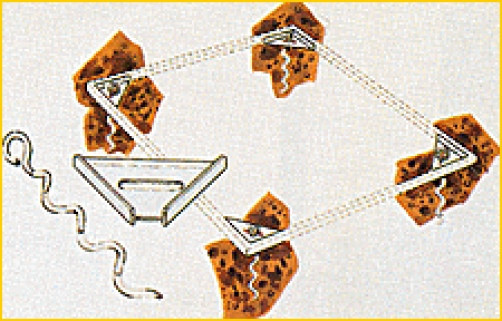 This Anchor Kit Will Anchor All Arrow Sheds To The Ground This Anchor Kit Will Anchor All Arrow Sheds To The Ground