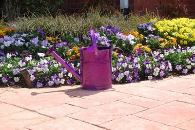 New 2 Gallon Deluxe Metal Flower Garden ...