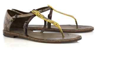 Pre-owned Bottega Veneta Reptile Leather Flat Sandal Shoes Sizes 35.5-40 Msrp $695 In Brown