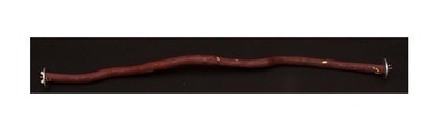 MANZANITA 30
