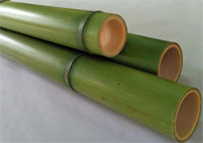 Bamboo poles 2