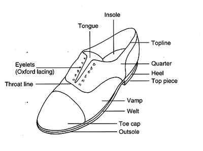 Shoe Diagram Diagram