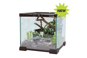 KOMODO GLASS SMALL REPTILE VIVARIUM INSECT SPIDER TANK