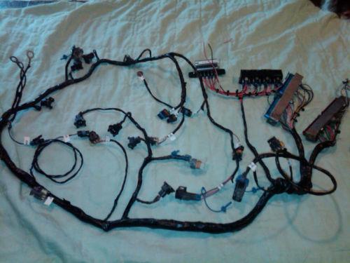 Can Light Conversion Kit >> LS1 Wiring Harness | eBay Can Light Conversion Kit >> LS1 Wiring Harness | eBay
