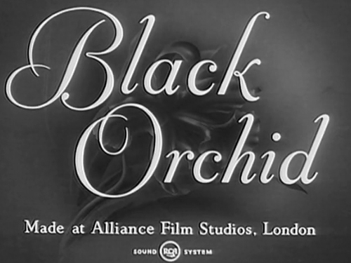 BLACK-ORCHID-DVD-1953-Ronald-Howard-Olga-Edwardes