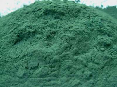 Spirulina Powder Aquarium Coral & Fry Fish ...