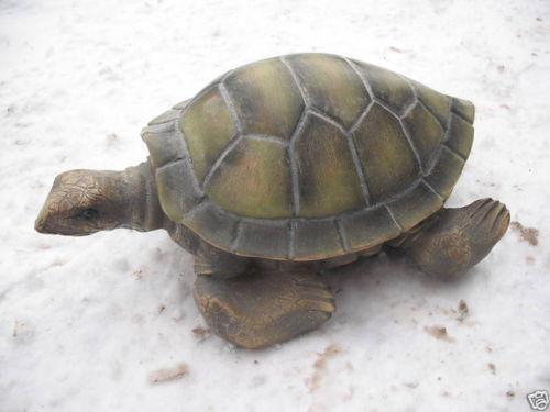 Concrete Turtle Mold | eBay