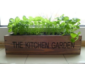 Windowsill Planter: Garden & Patio  eBay