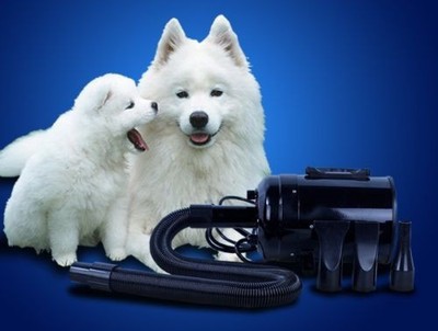 New 2800W Commercial Pet Dog Cat Animal ...