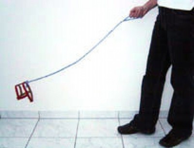 Image result for invisible dog lead