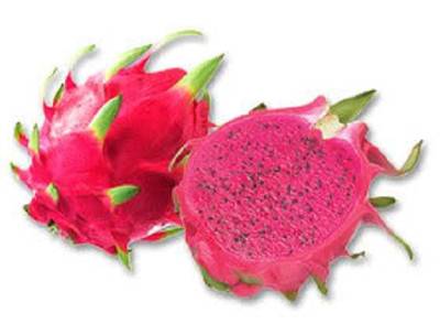 20 PURPLE DRAGON FRUIT CACTUS Pitaya Seeds ...